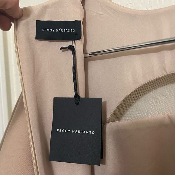 Peggy Hartanto Dress Mod Exaggerated Ruffled Sleeves Babydoll Dress Tan Size 2 - Picture 4 of 15